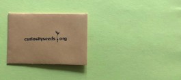 curiosity seeds