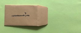 curiosity seeds