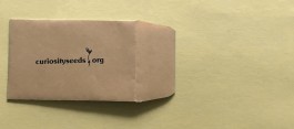 curiosity seeds